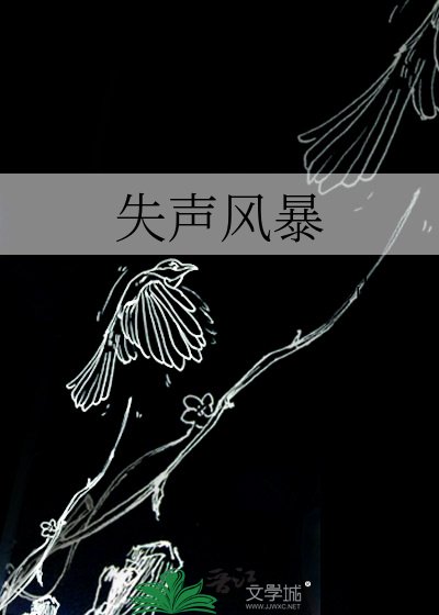 《失声风暴》