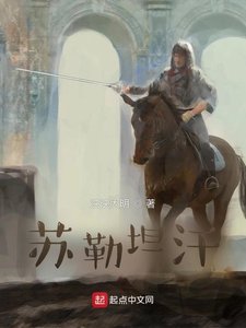 《大漠雄鹰苏勒坦汗》