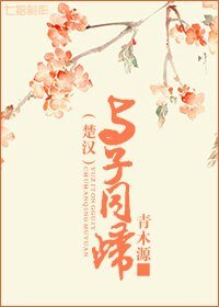 《(BG/楚汉同人)与子同归》