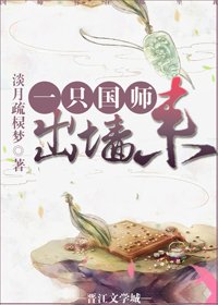国师宠妻大业/一只国师出墙来